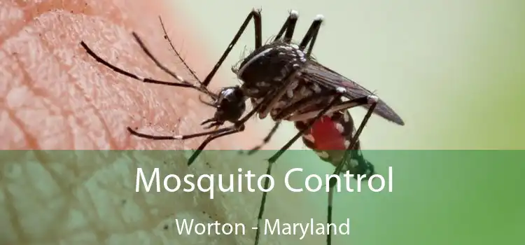 Mosquito Control Worton - Maryland