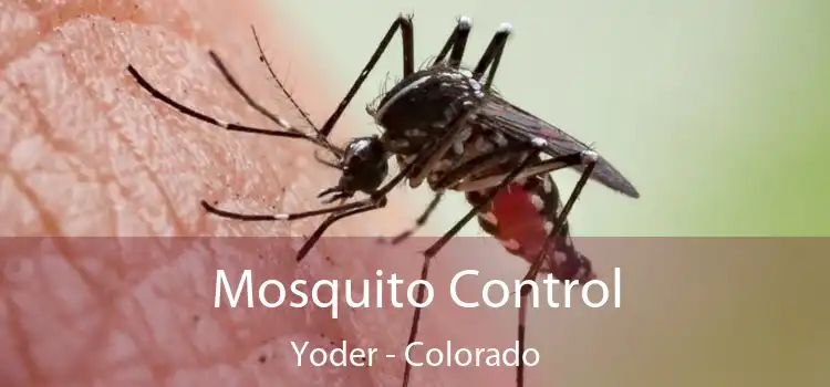 Mosquito Control Yoder - Colorado