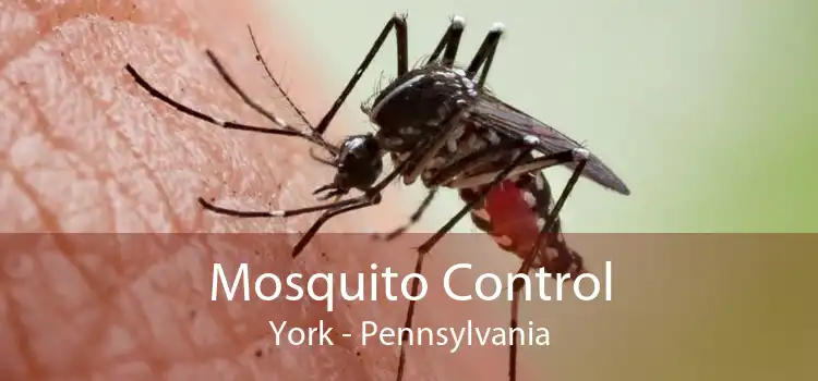 Mosquito Control York - Pennsylvania