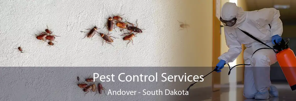 Pest Control Services Andover - South Dakota