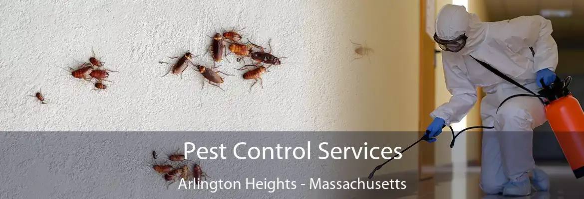 Pest Control Services Arlington Heights - Massachusetts