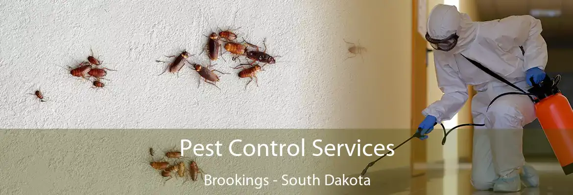Pest Control Services Brookings - South Dakota