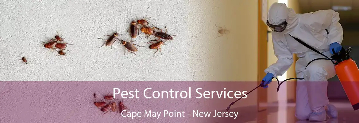 Pest Control Services Cape May Point - New Jersey