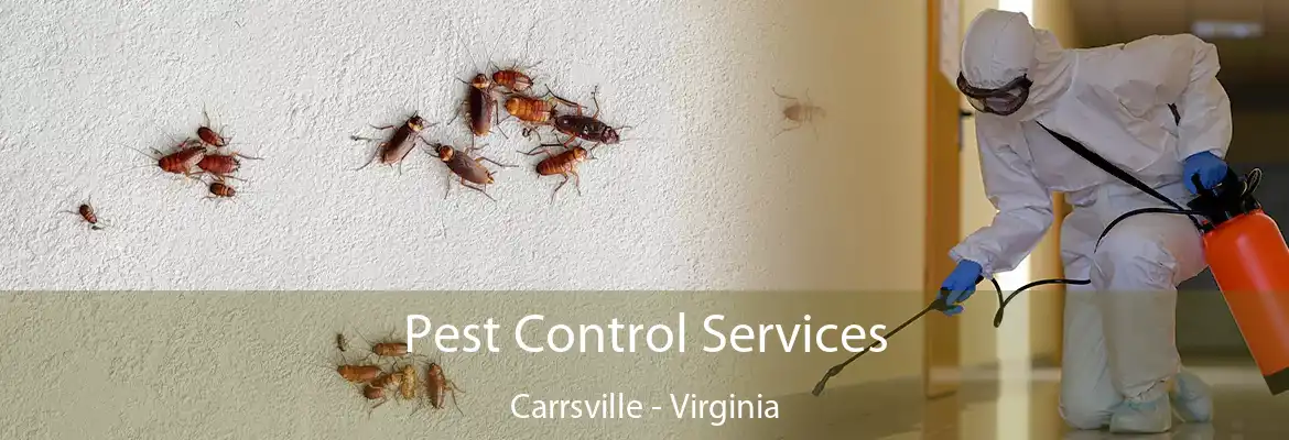 Pest Control Services Carrsville - Virginia