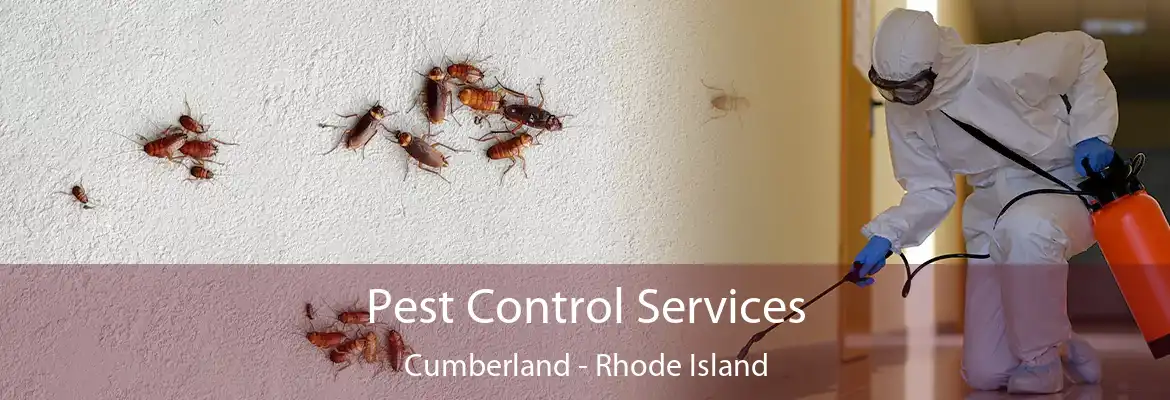 Pest Control Services Cumberland - Rhode Island