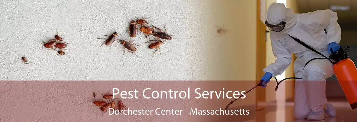 Pest Control Services Dorchester Center - Massachusetts