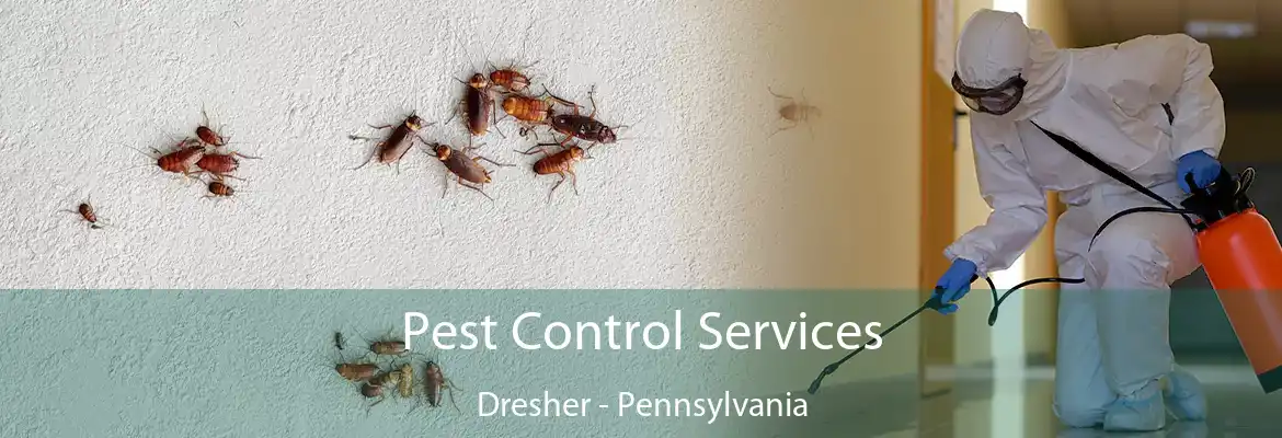 Pest Control Services Dresher - Pennsylvania