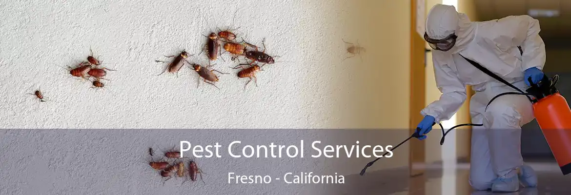 Pest Control Services Fresno - California