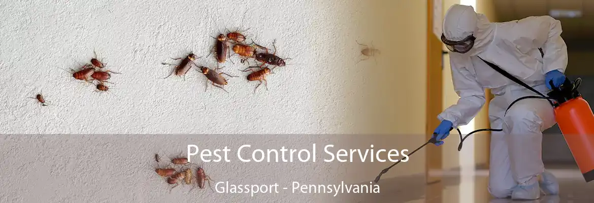Pest Control Services Glassport - Pennsylvania