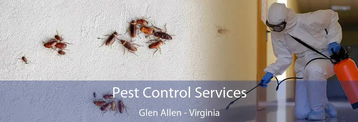 Pest Control Services Glen Allen - Virginia