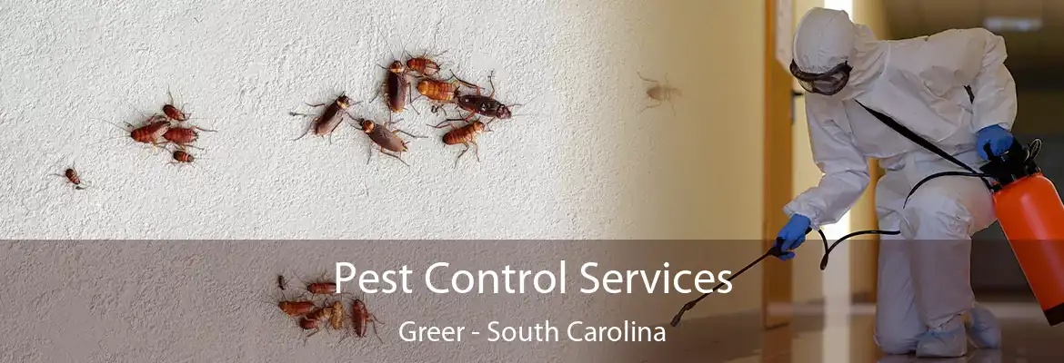 Pest Control Services Greer - South Carolina