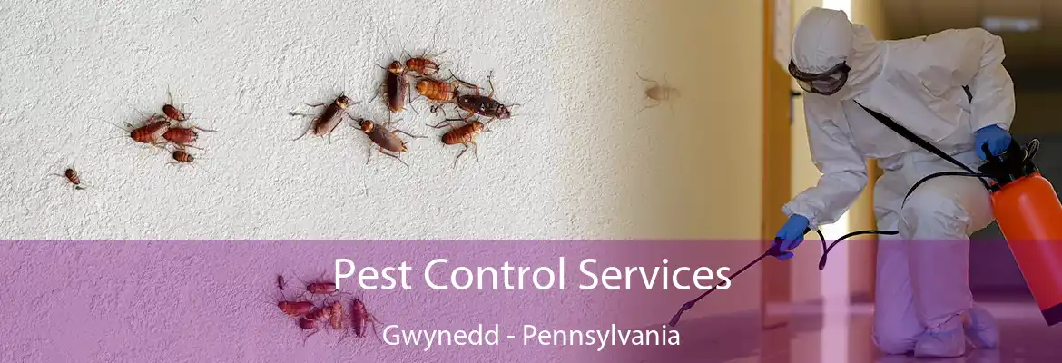 Pest Control Services Gwynedd - Pennsylvania
