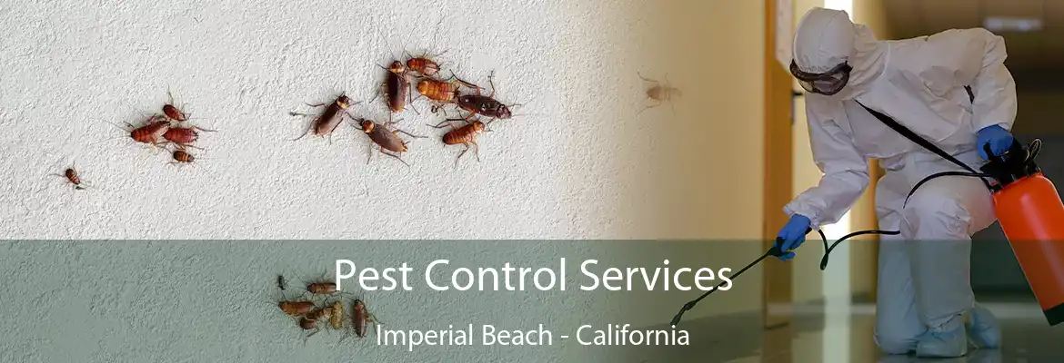 Pest Control Services Imperial Beach - California