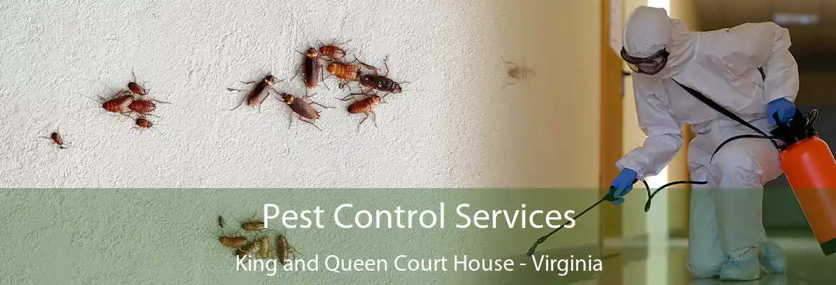 Pest Control Services King and Queen Court House - Virginia