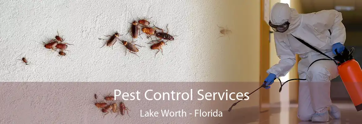 Pest Control Services Lake Worth - Florida