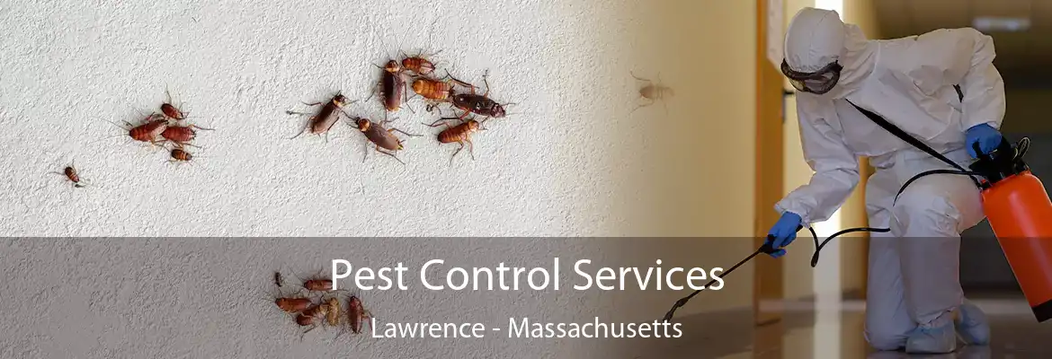 Pest Control Services Lawrence - Massachusetts