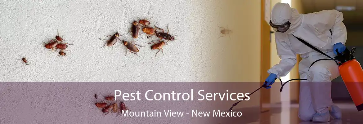 Pest Control Services Mountain View - New Mexico