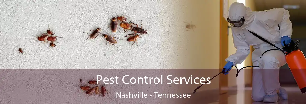 Pest Control Services Nashville - Tennessee