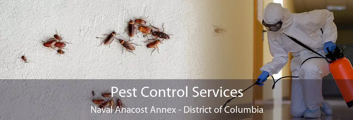 Pest Control Services Naval Anacost Annex - District of Columbia