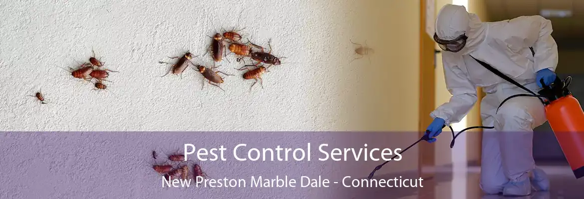 Pest Control Services New Preston Marble Dale - Connecticut