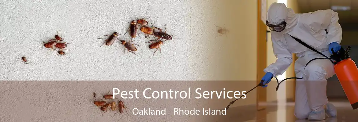 Pest Control Services Oakland - Rhode Island