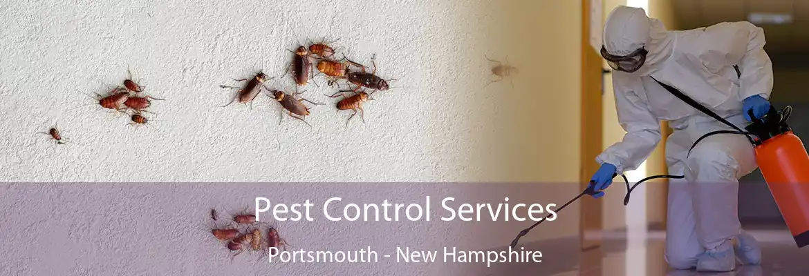 Pest Control Services Portsmouth - New Hampshire