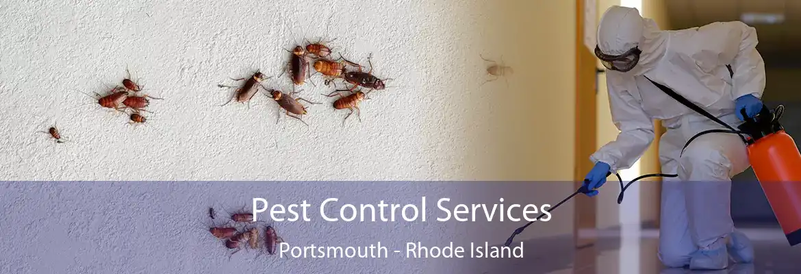 Pest Control Services Portsmouth - Rhode Island