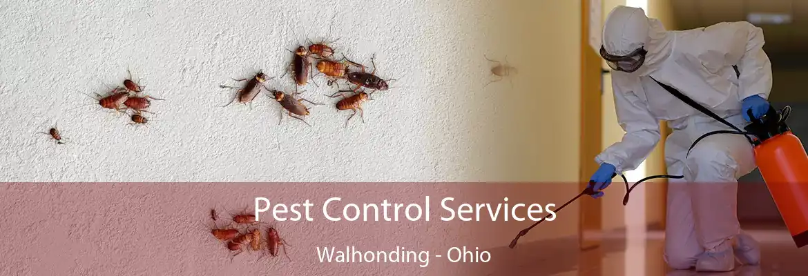 Pest Control Services Walhonding - Ohio