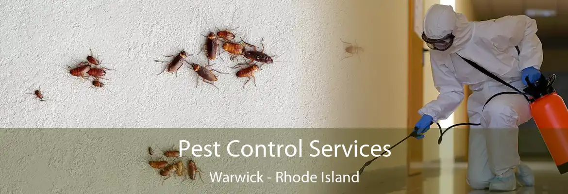 Pest Control Services Warwick - Rhode Island
