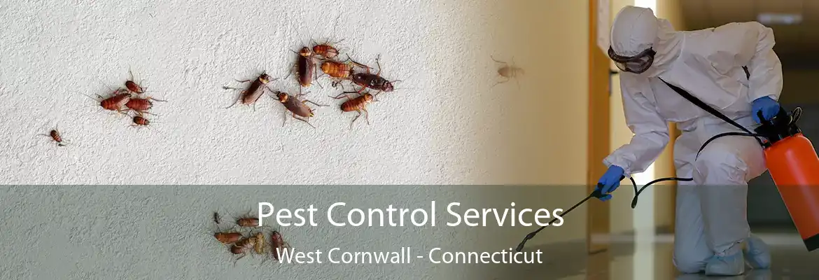 Pest Control Services West Cornwall - Connecticut