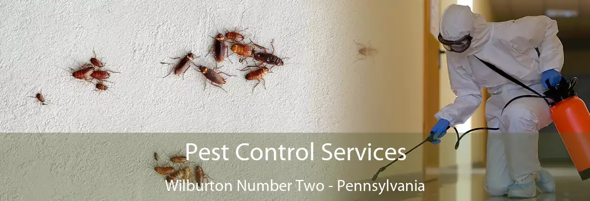Pest Control Services Wilburton Number Two - Pennsylvania