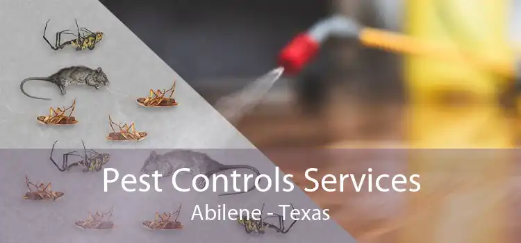 Pest Controls Services Abilene - Texas