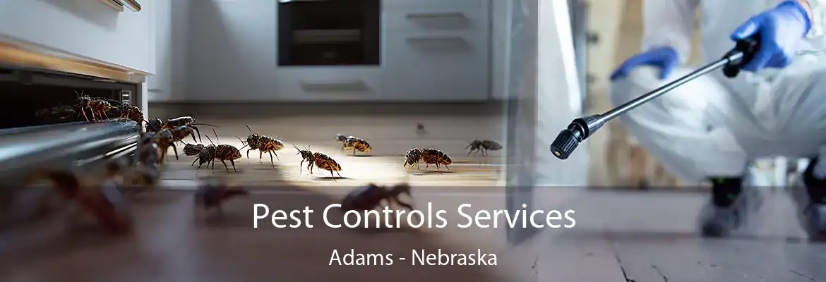 Pest Controls Services Adams - Nebraska