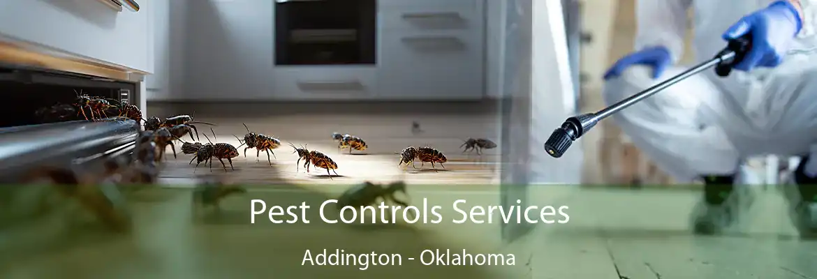 Pest Controls Services Addington - Oklahoma