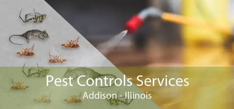Pest Controls Services Addison - Illinois