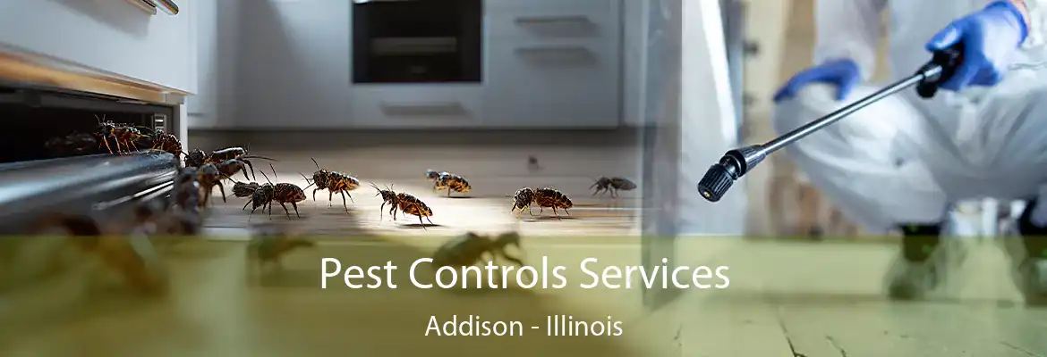Pest Controls Services Addison - Illinois