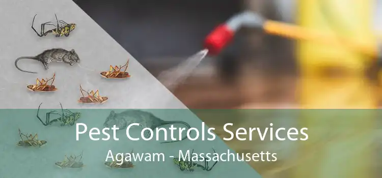 Pest Controls Services Agawam - Massachusetts