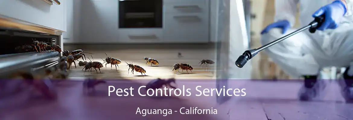 Pest Controls Services Aguanga - California