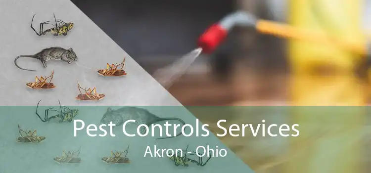 Pest Controls Services Akron - Ohio