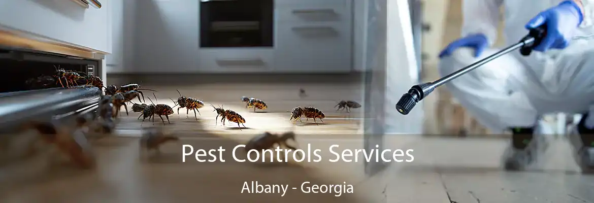 Pest Controls Services Albany - Georgia