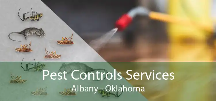 Pest Controls Services Albany - Oklahoma