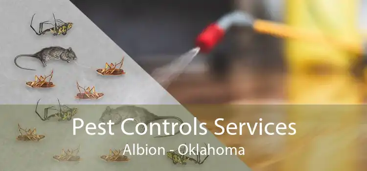Pest Controls Services Albion - Oklahoma