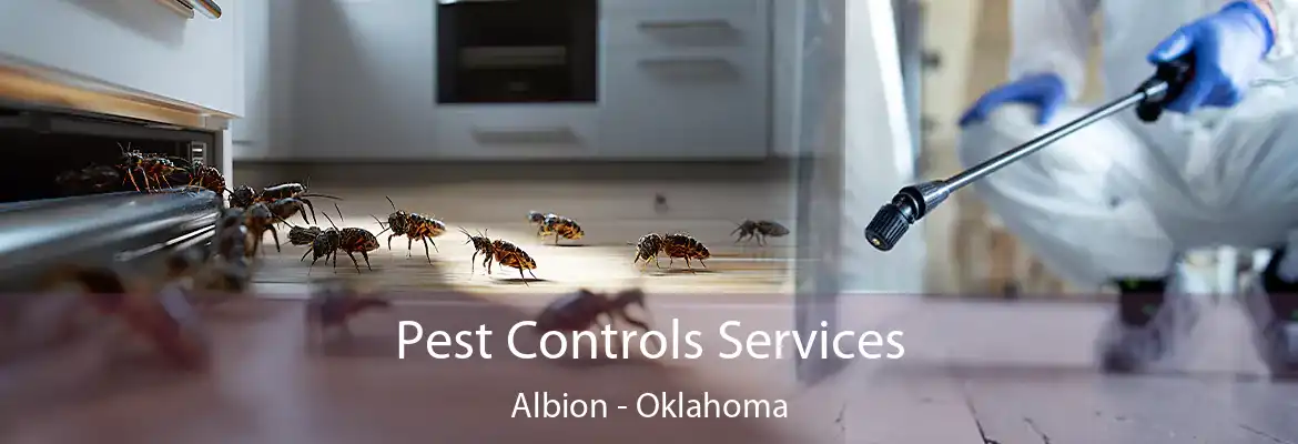 Pest Controls Services Albion - Oklahoma