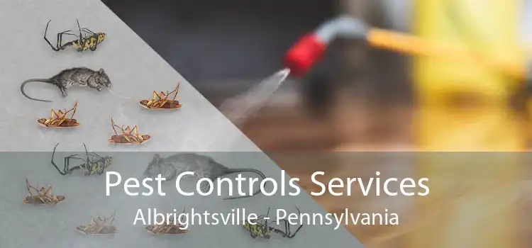 Pest Controls Services Albrightsville - Pennsylvania