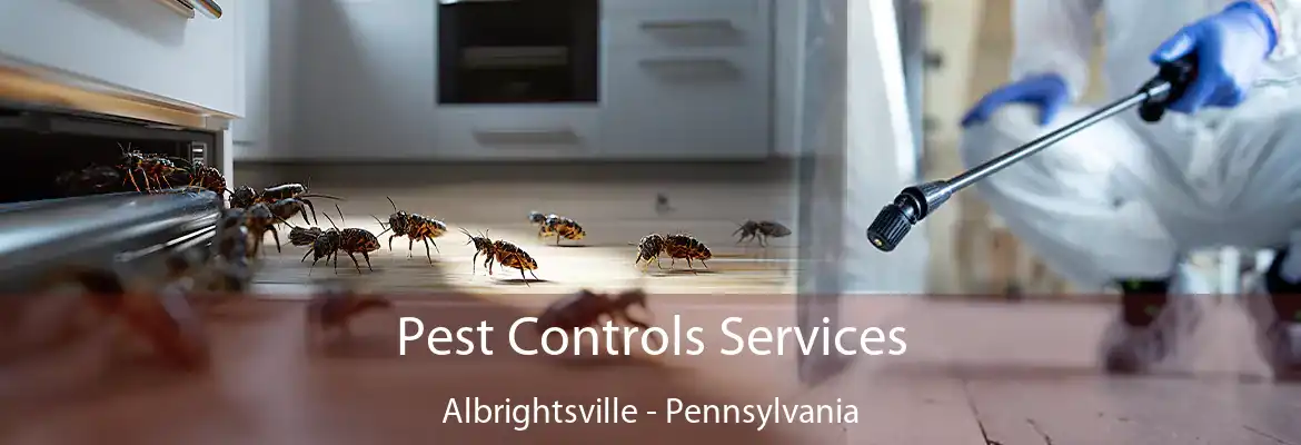 Pest Controls Services Albrightsville - Pennsylvania