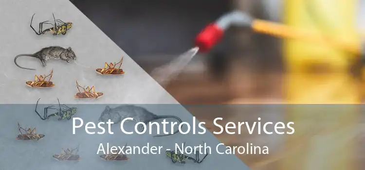 Pest Controls Services Alexander - North Carolina