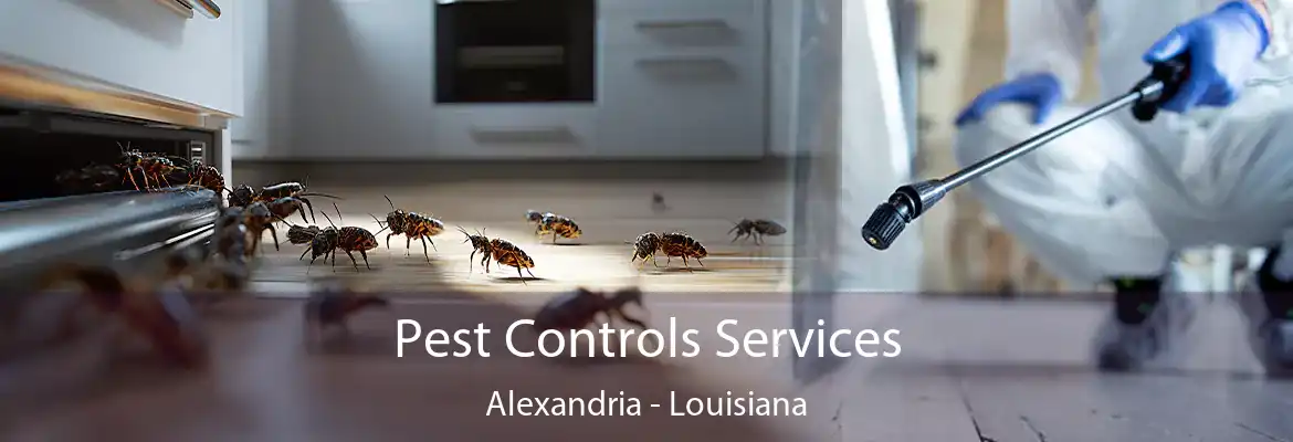 Pest Controls Services Alexandria - Louisiana