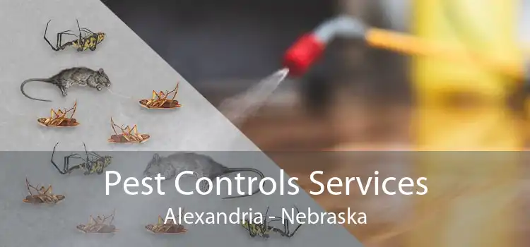Pest Controls Services Alexandria - Nebraska