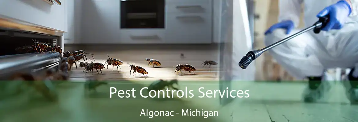 Pest Controls Services Algonac - Michigan