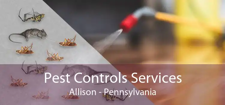 Pest Controls Services Allison - Pennsylvania